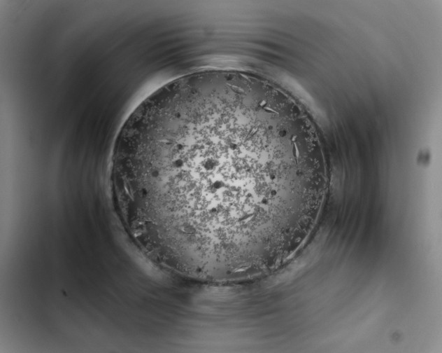 X0000102861378200808251216