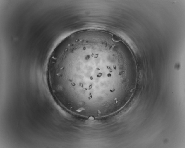 X0000102861379200808251216
