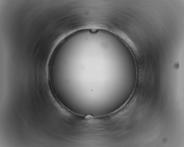 X0000102861380200808251216