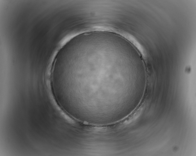 X0000102861381200808251216