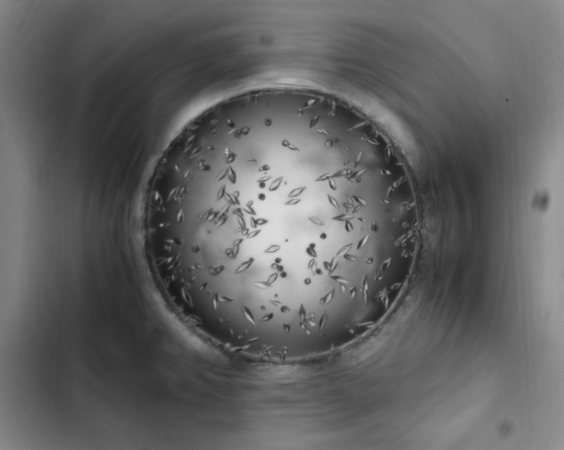 X0000102861382200808251216