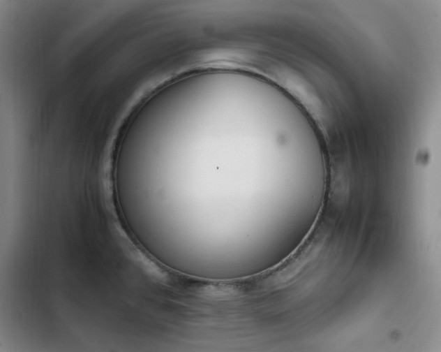 X0000102861384200808251216