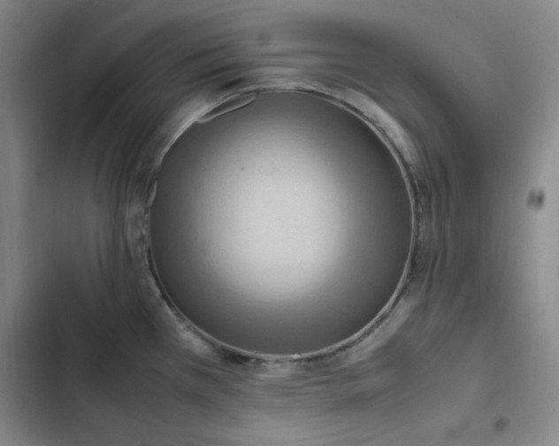 X0000102861385200808251216