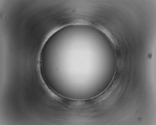 X0000102861387200808251216