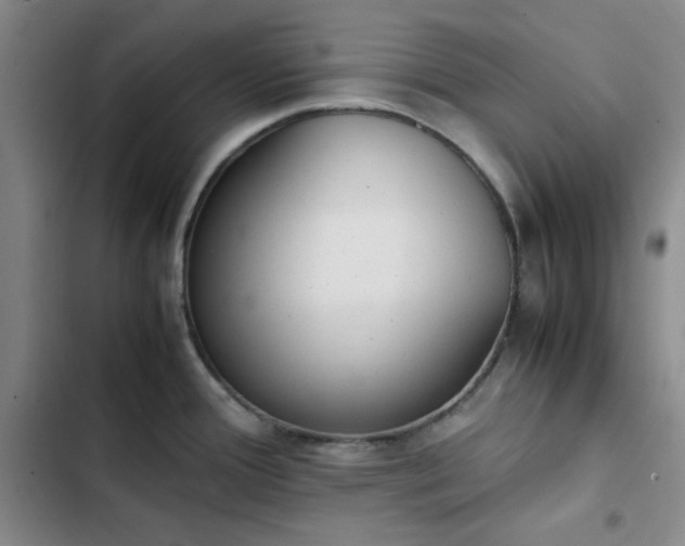 X0000102861388200808251216