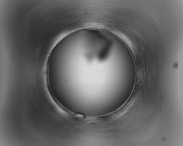 X0000102861391200808251216