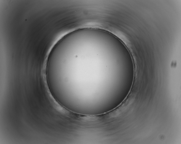 X0000102861392200808251216