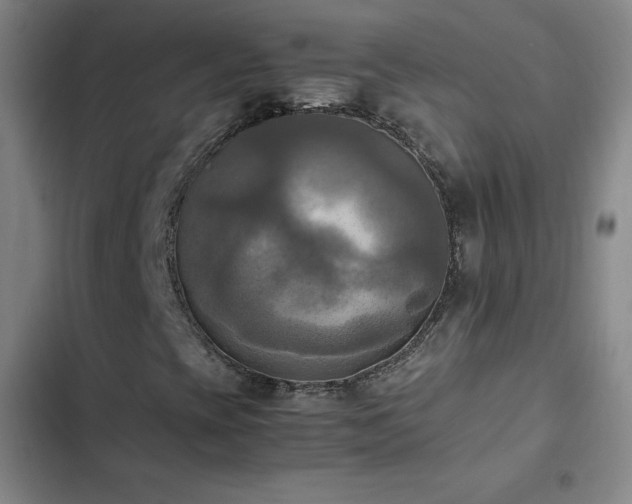 X0000102861393200808251215