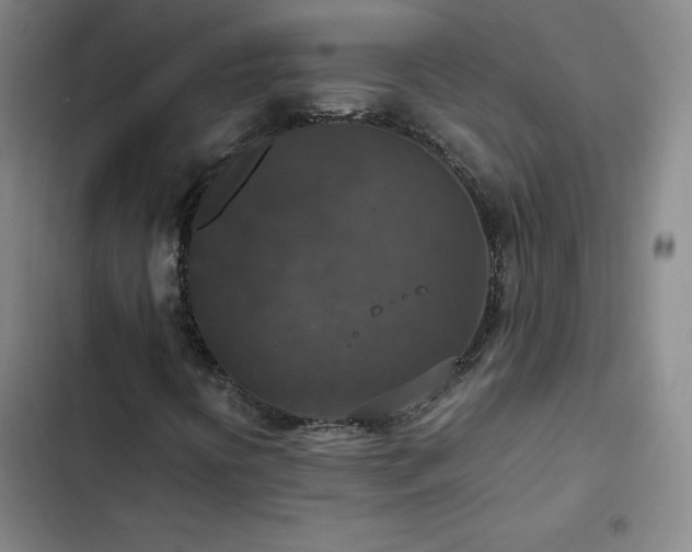 X0000102861394200808251215