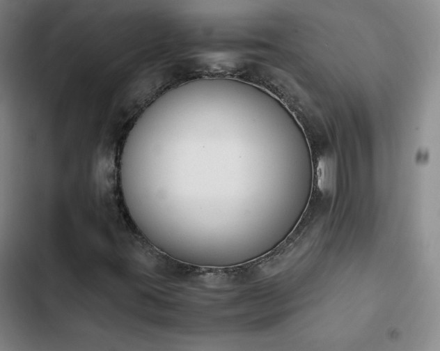 X0000102861395200808251215