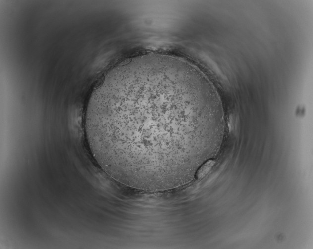 X0000102861396200808251215