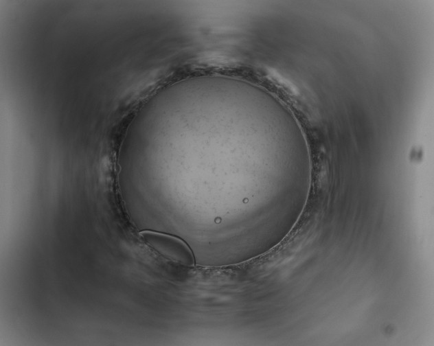 X0000102861397200808251215