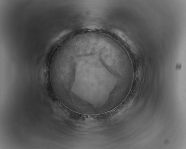 X0000102861398200808251215