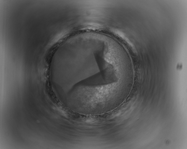 X0000102861399200808251215