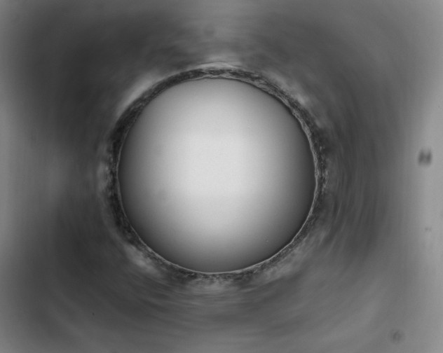 X0000102861400200808251215