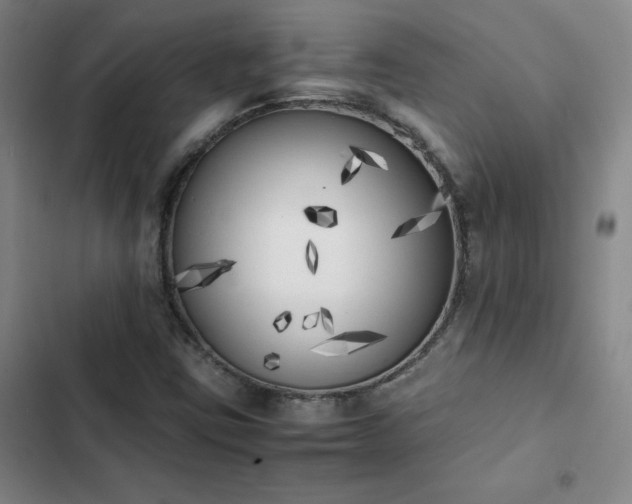X0000102861403200808251215