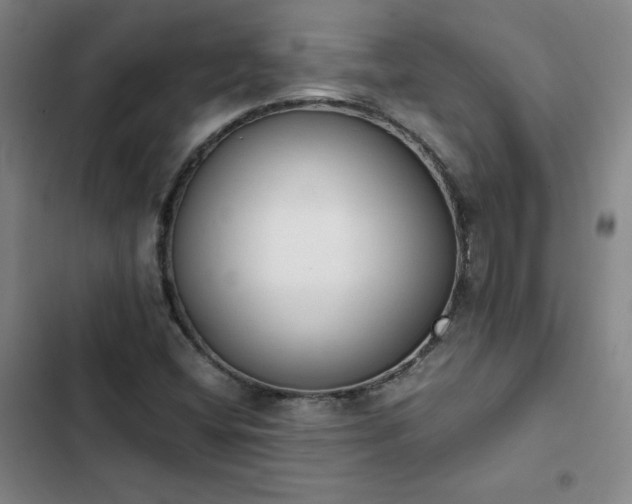 X0000102861404200808251215