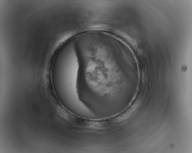 X0000102861405200808251215