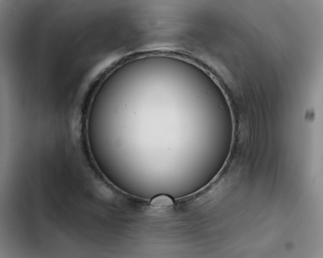 X0000102861406200808251215