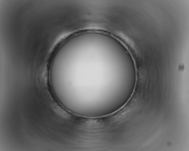 X0000102861408200808251215