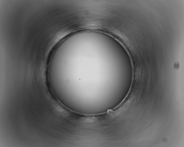 X0000102861410200808251215