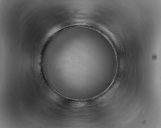 X0000102861411200808251215