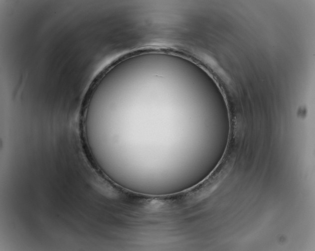 X0000102861412200808251215