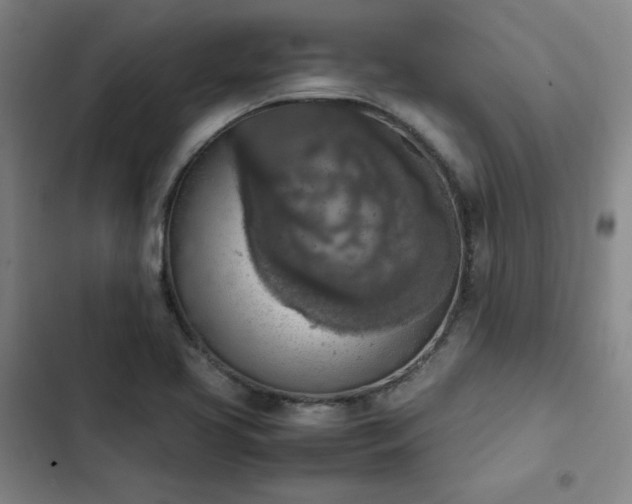 X0000102861413200808251215