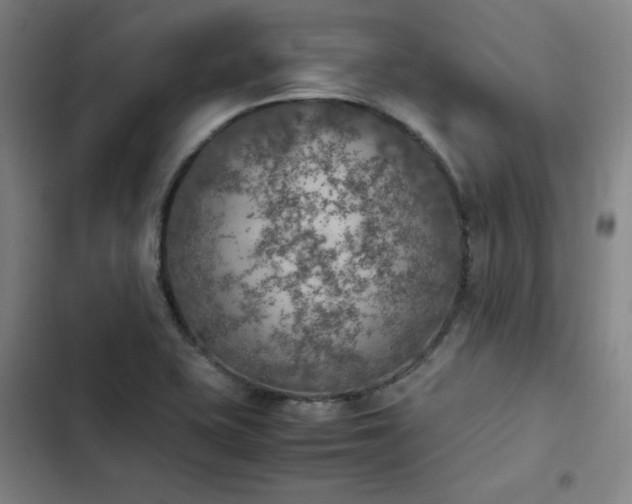 X0000102861415200808251215