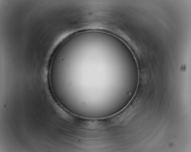 X0000102861416200808251215