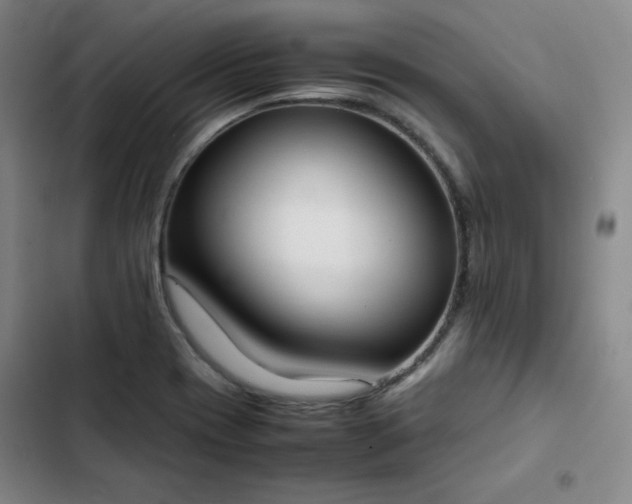 X0000102861417200808251215