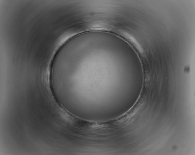 X0000102861419200808251215