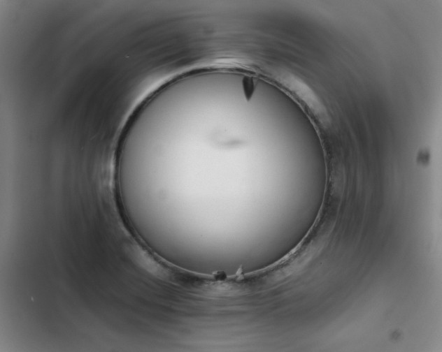 X0000102861420200808251215
