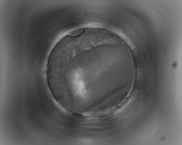 X0000102861421200808251215