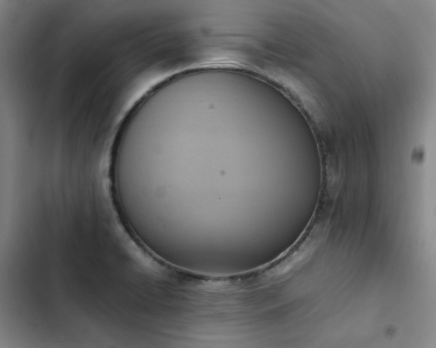 X0000102861422200808251215