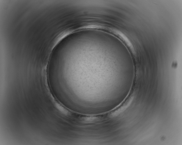 X0000102861425200808251215