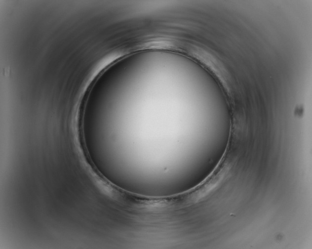 X0000102861426200808251215