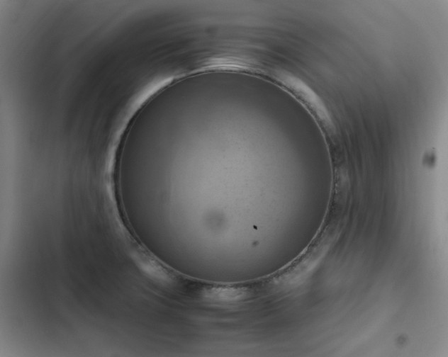 X0000102861427200808251215