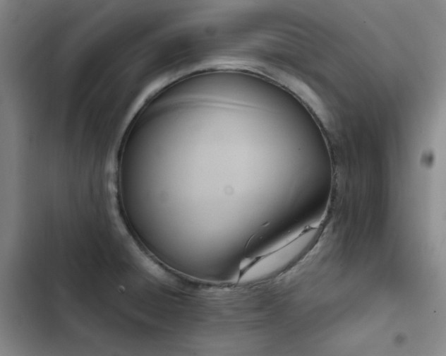 X0000102861428200808251215