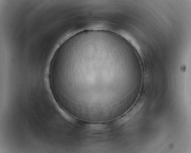 X0000102861429200808251215