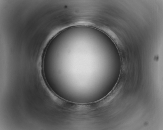 X0000102861430200808251215