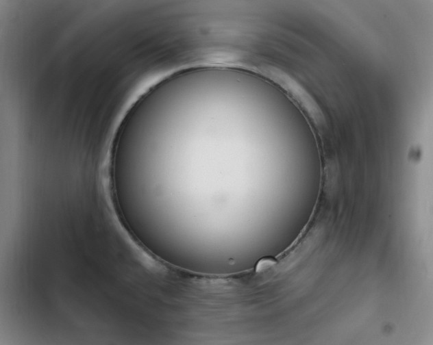 X0000102861432200808251216