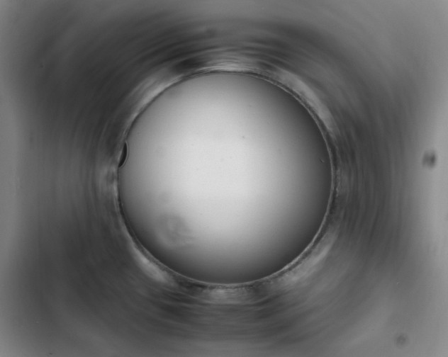 X0000102861433200808251216