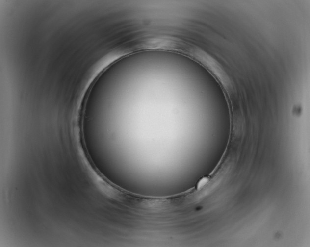 X0000102861434200808251216