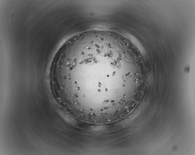 X0000102861435200808251216
