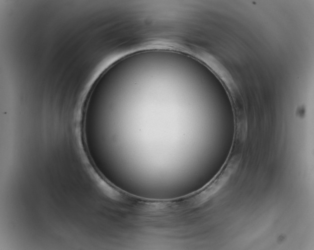 X0000102861438200808251216