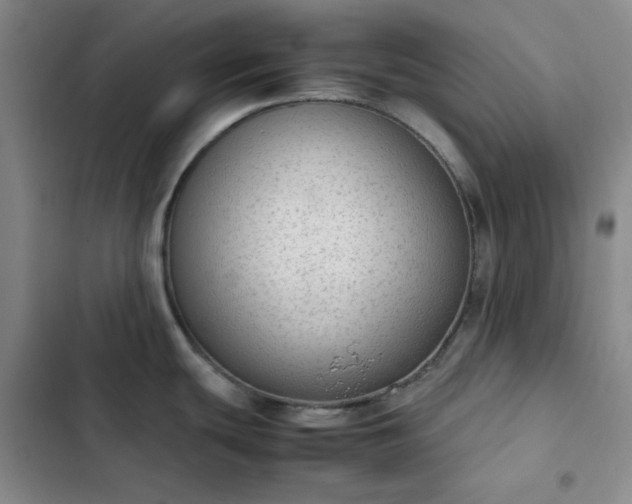 X0000102861439200808251216