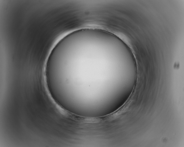 X0000102861440200808251216