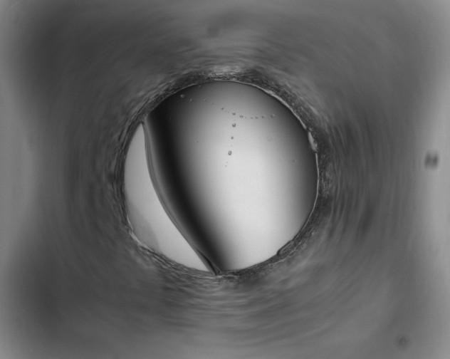 X0000102861441200808251215