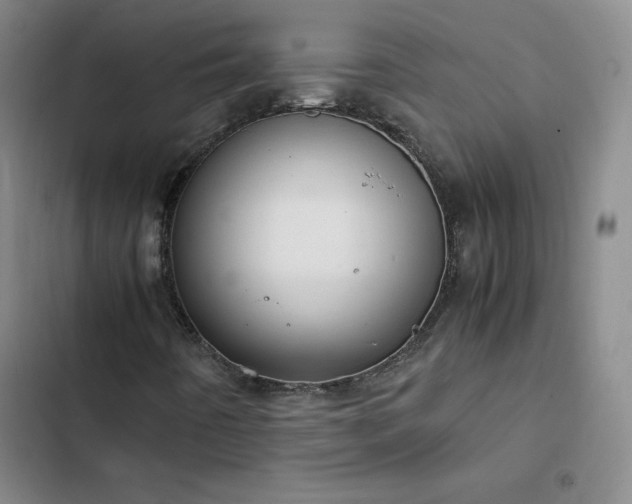 X0000102861442200808251215